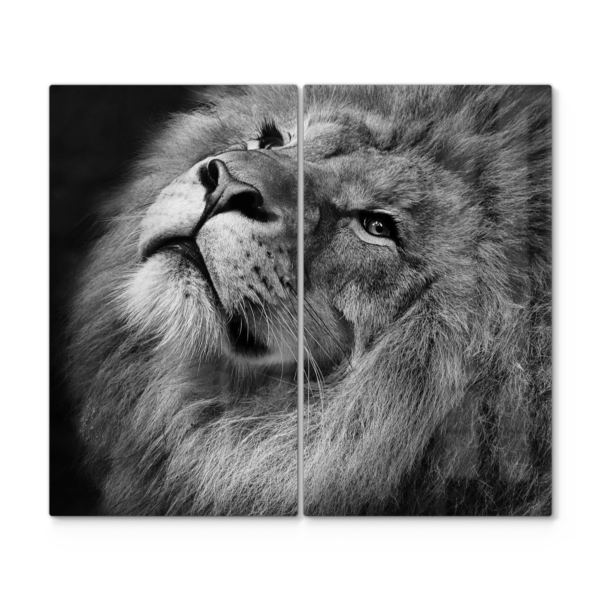 DEQORI Herdblende-/Abdeckplatte 'Der König der Tiere', Glas, (2 tlg), Herdabdeckplatte Ceranfeld Herd Platte Abdeckung Glasplatte