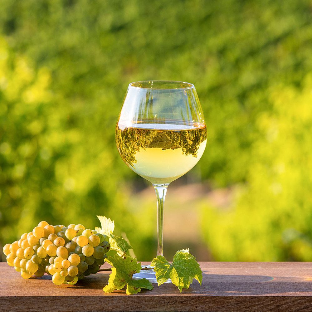 mydays Erlebnisgutschein Geführte Weinwanderung Freyburg, Weinwandern mit Genuss in Freyburg