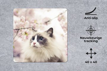 MuchoWow Gaming Mauspad Sakura - Katze - Farben (1-St), Mousepad mit Rutschfester Unterseite, Gaming, 40x40 cm, XXL, Großes