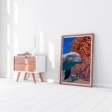 Sinus Art Poster Süßer Delfin neben buntem Korallenriff 60x90cm Poster