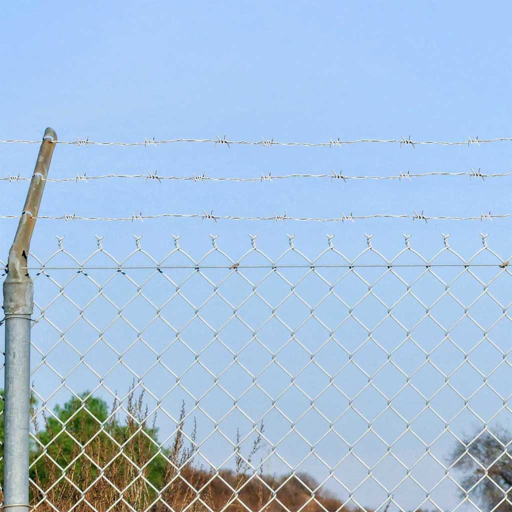 vidaXL Stacheldraht, Stacheldraht Silber 100 m Feuerverzinkt Stahl