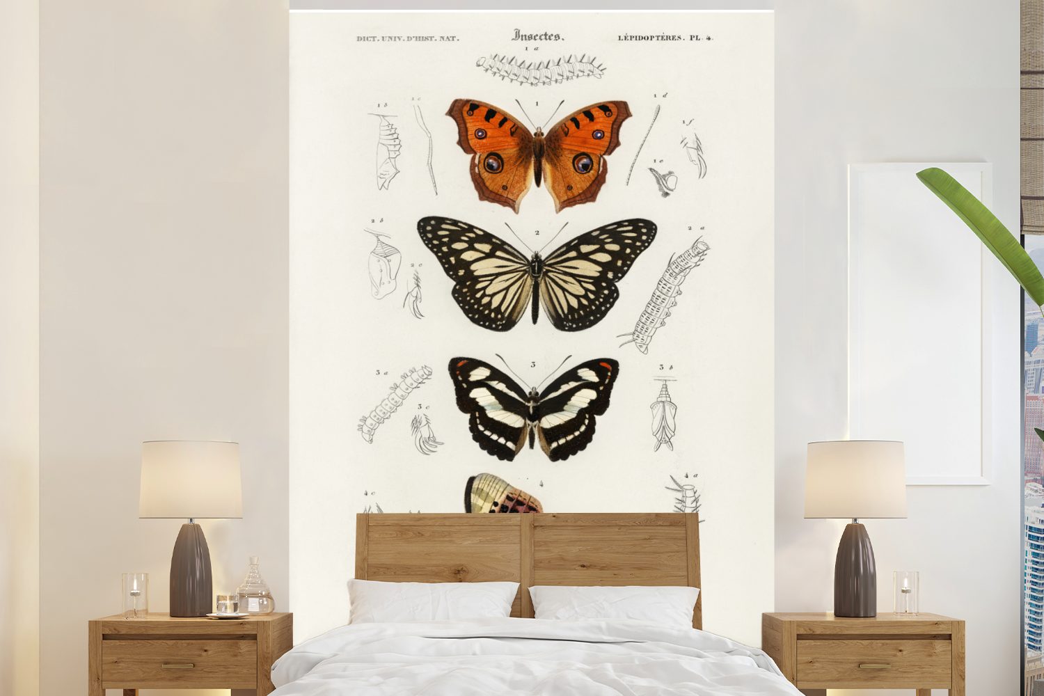 Schmetterling Fototapete für MuchoWow St), Vinyl (3 Matt, Wohnzimmer, Wandtapete Insekten, Montagefertig Tapete - Vintage bedruckt, -