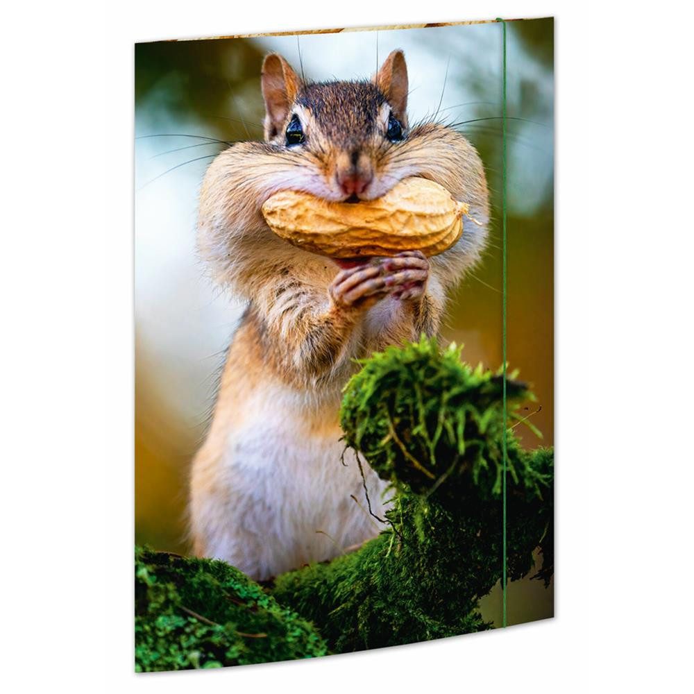 RNK Verlag Organisationsmappe Zeichenmappe Chipmunk DIN A3, Karton mit Gummizugverschluss Sammelmappe