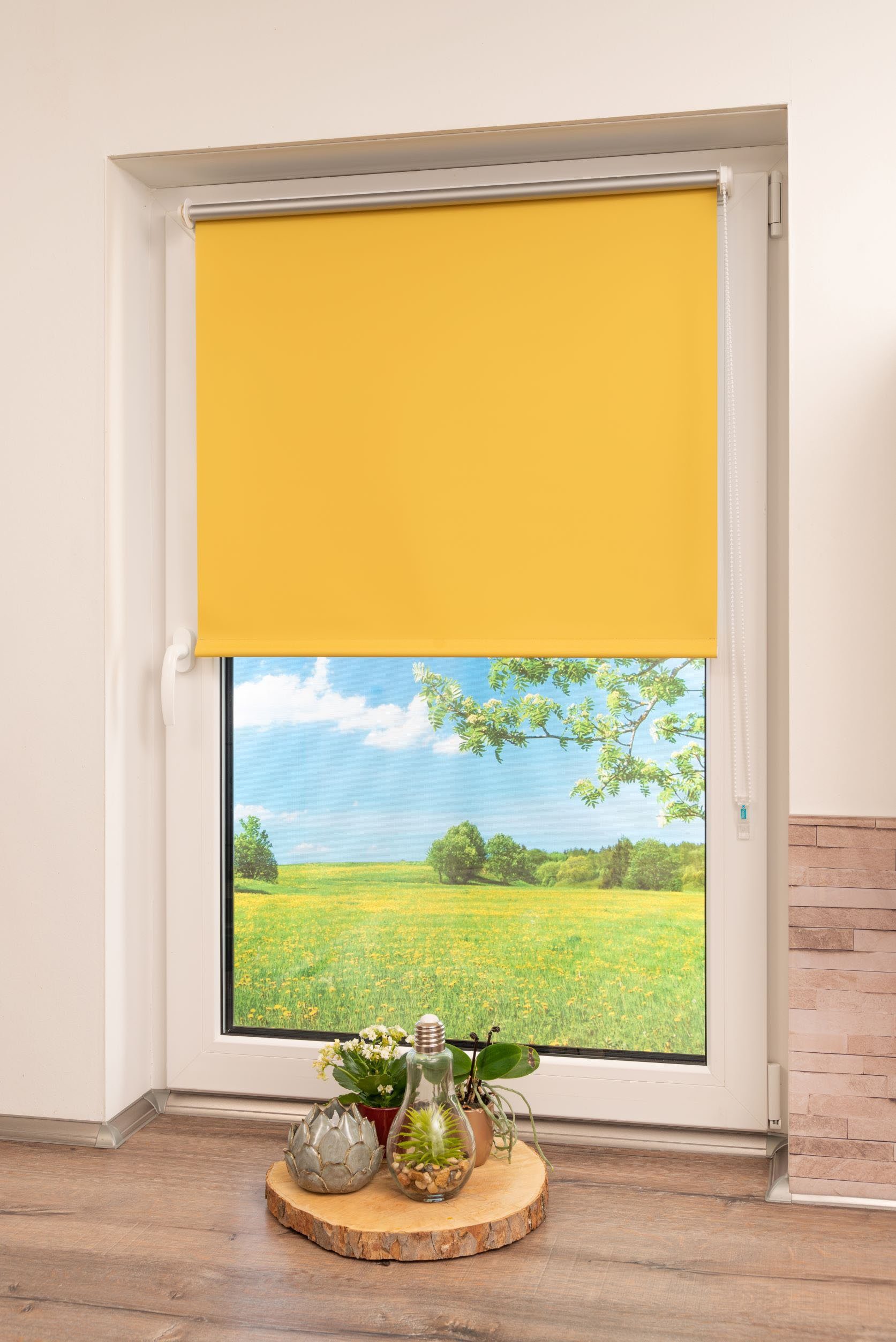 Seitenzugrollo Thermo Klemmfix-Rollo, K-HOME, verdunkelnd, ohne günstig online kaufen
