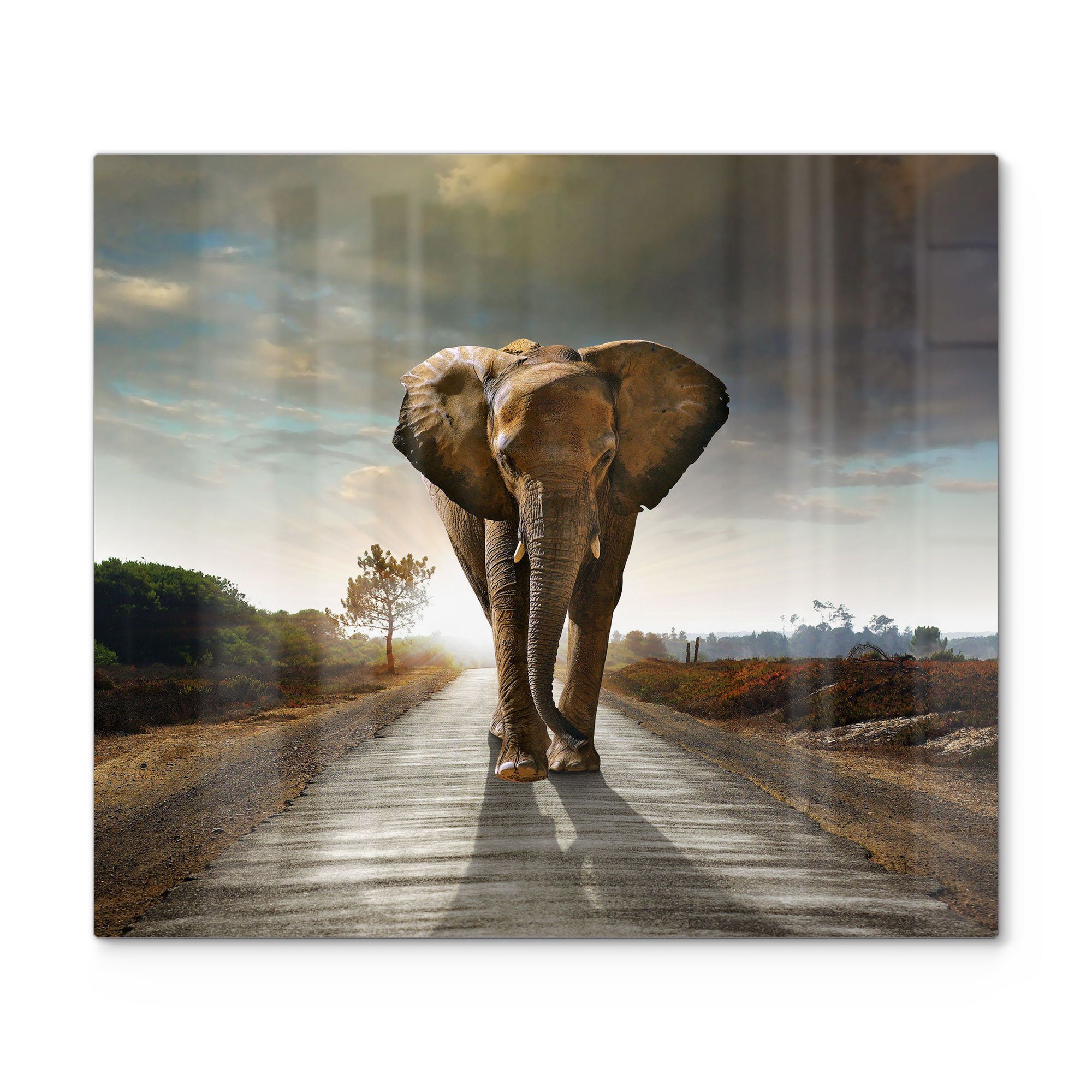 DEQORI Herdblende-/Abdeckplatte 'Elefant auf Asphalt', Glas, (1 tlg), Glas Herdabdeckplatte Ceranfeld Herd