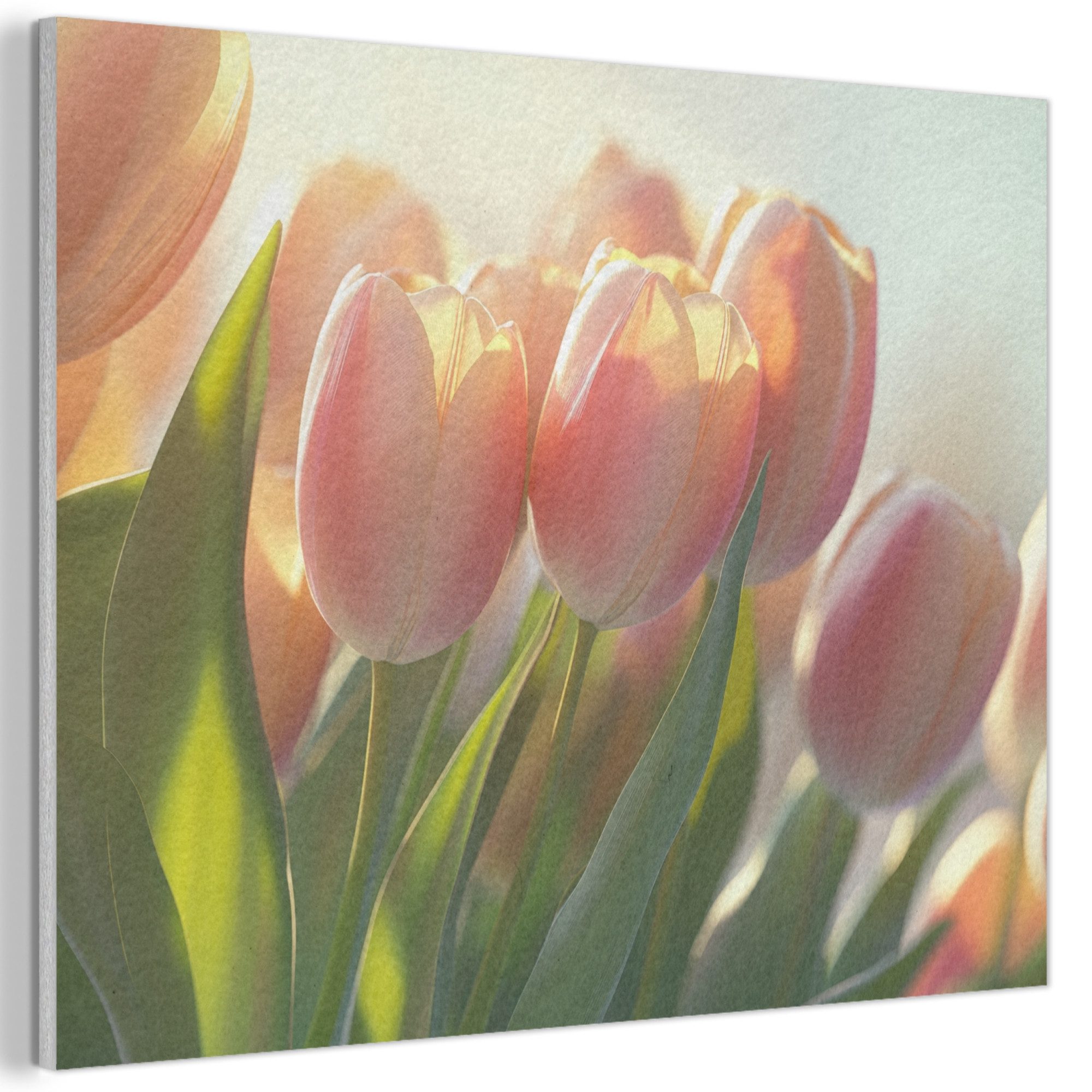 MuchoWow Gemälde Tulpen - Rosa - Sonnenstrahlen, Fotodruck (1 St), Akustikpaneele PET-Filz, Akustikbild, Schalldämmung, Deko 40x30 cm