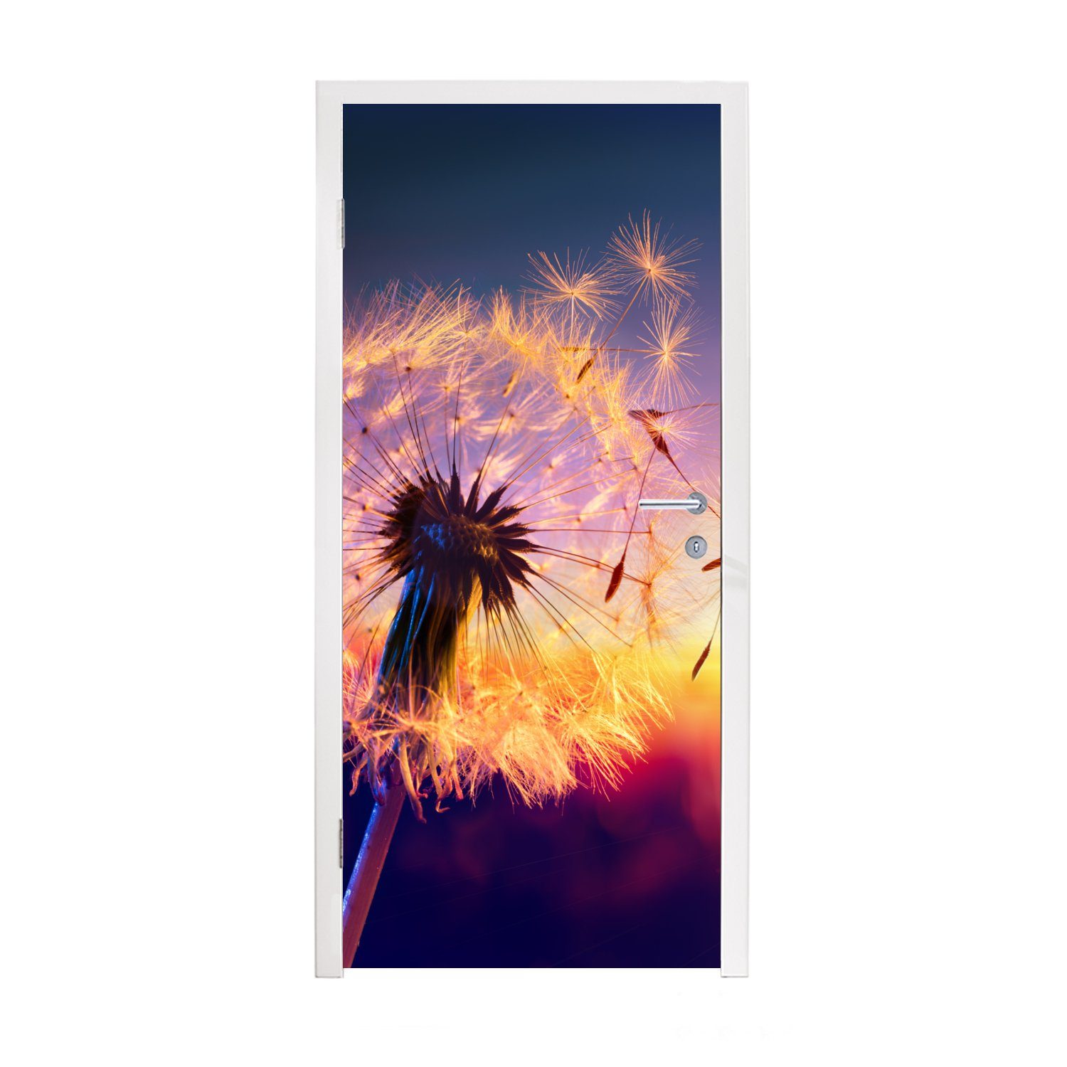 MuchoWow Türtapete Löwenzahn - Blumen - Sonnenuntergang - Horizont - Nacht, Matt, bedruckt, (1 St), Fototapete für Tür, Türaufkleber, 75x205 cm