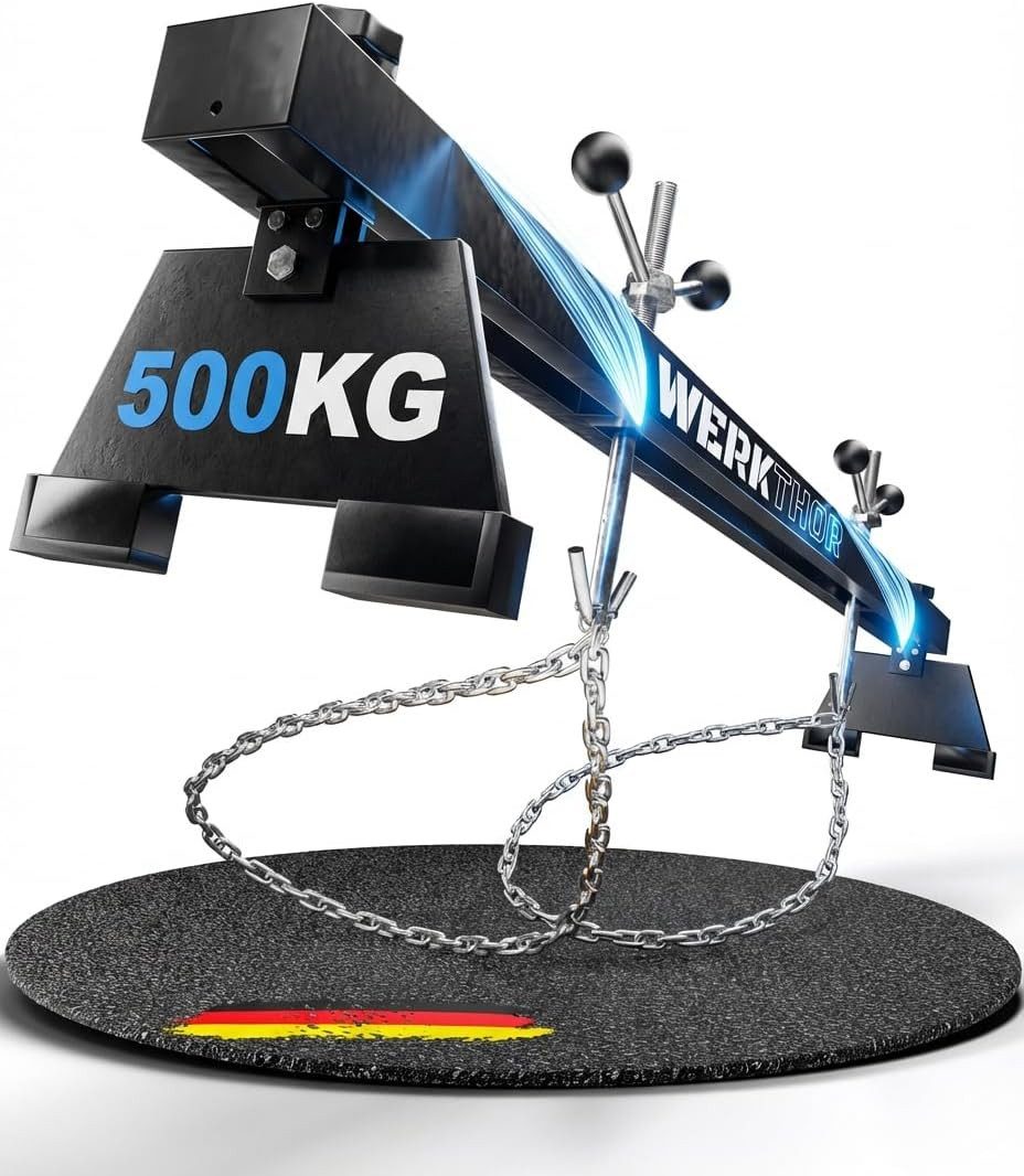 Werkthor Werkstattkran Motorbrücke 500kg massiv für PKW