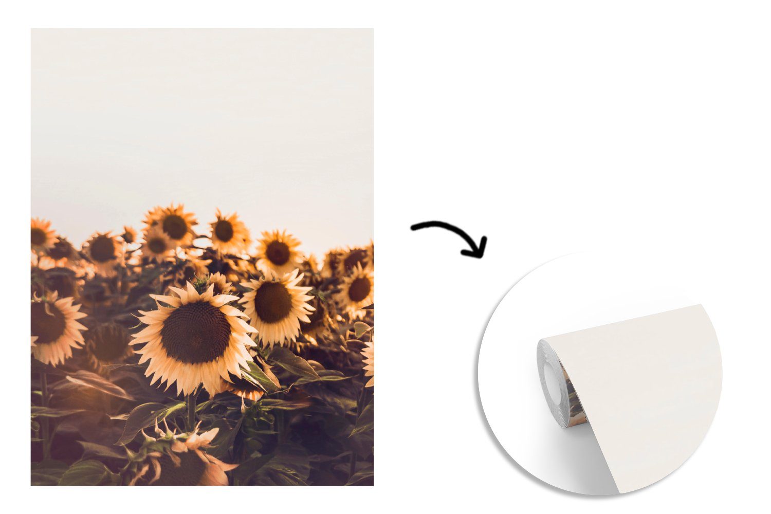 MuchoWow Vinyl Matt, - Montagefertig St), - Gelb, - Fototapete bedruckt, Tapete Sonnenuntergang Feld Wohnzimmer, Blumen (4 - Sonnenblumen Wandtapete für