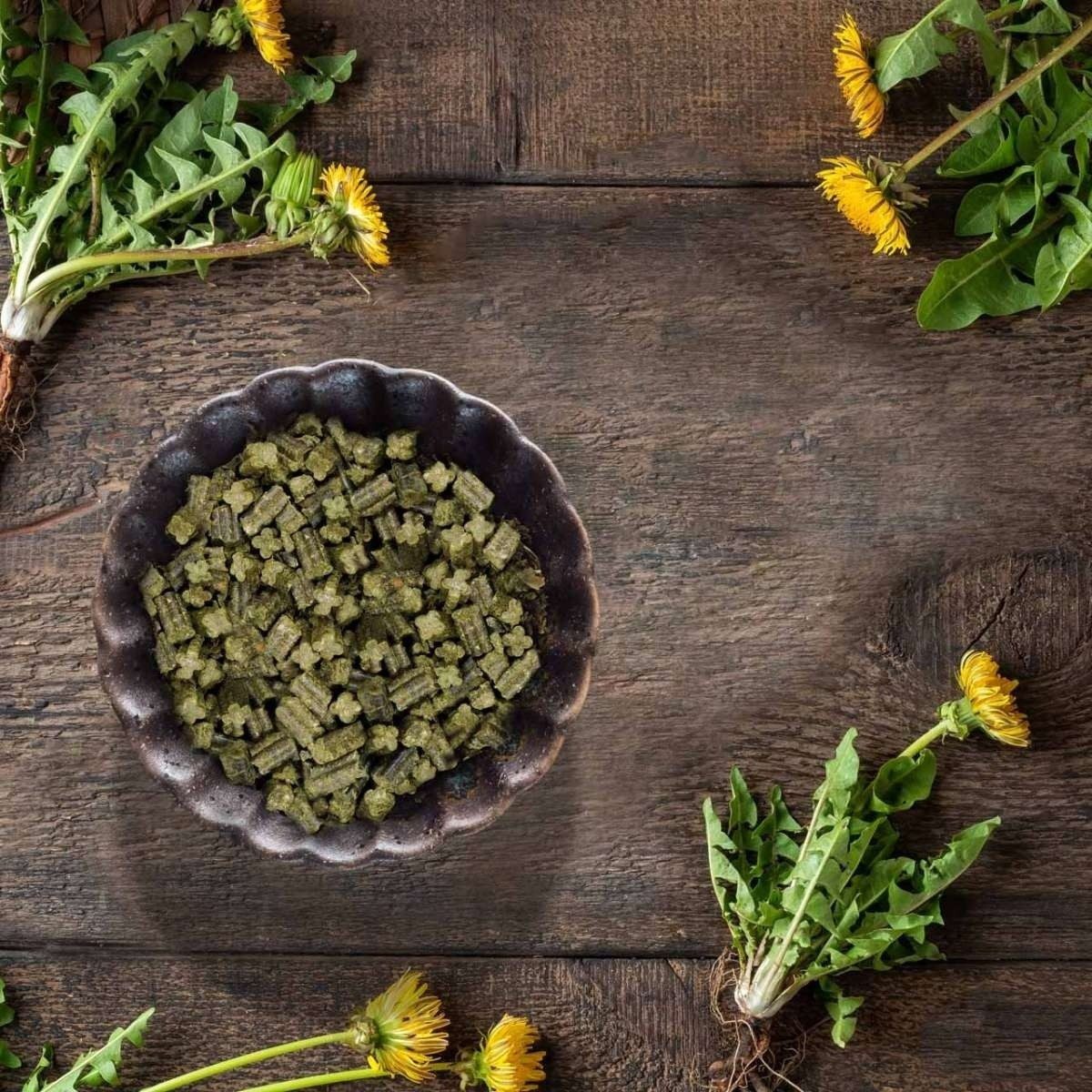 JR Farm Grainless Complete Junior Zwergkaninchen 1000 g - 6 Stück, für: Kleintier