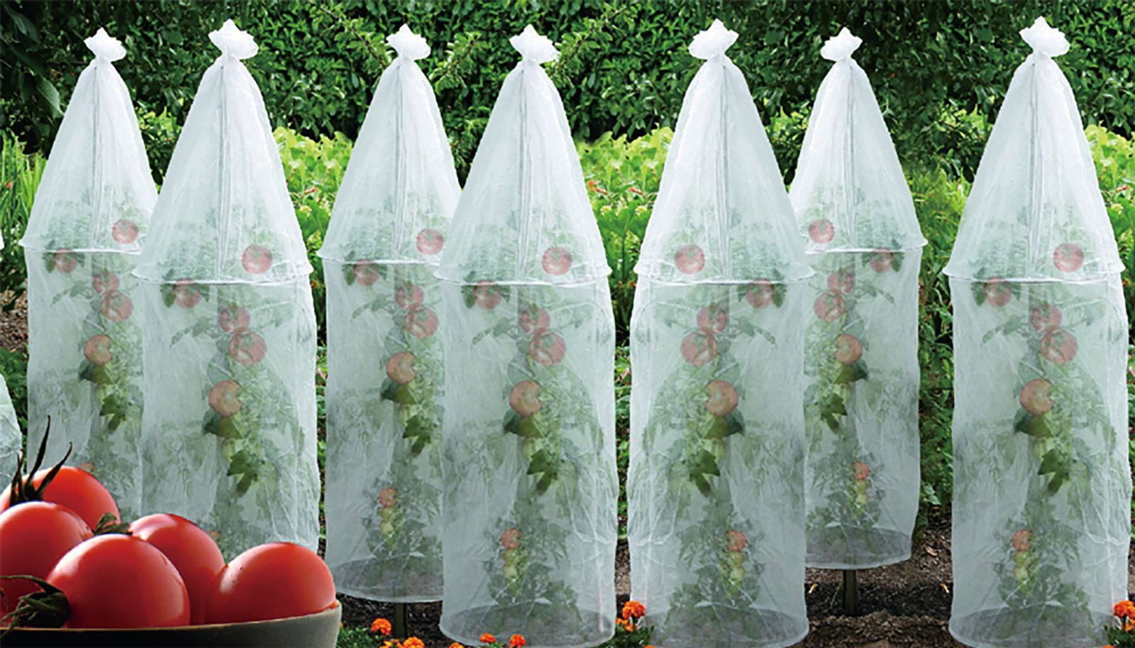 BURI Winterschutzhaube Tomaten-Reifehauben 3er-Set Tomatenfolie Reifefolie Tomatenhaube Haube