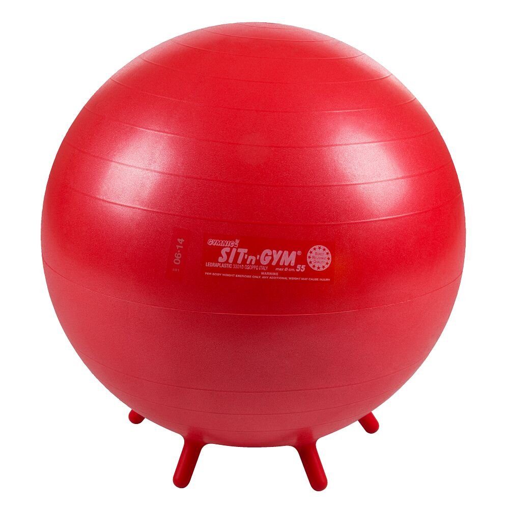Gymnic Sitzball Fitnessball Sit 'n' Gym, Zur Gesundheitsförderung in Schule, Freizeit und Beruf ø 55 cm, Rot