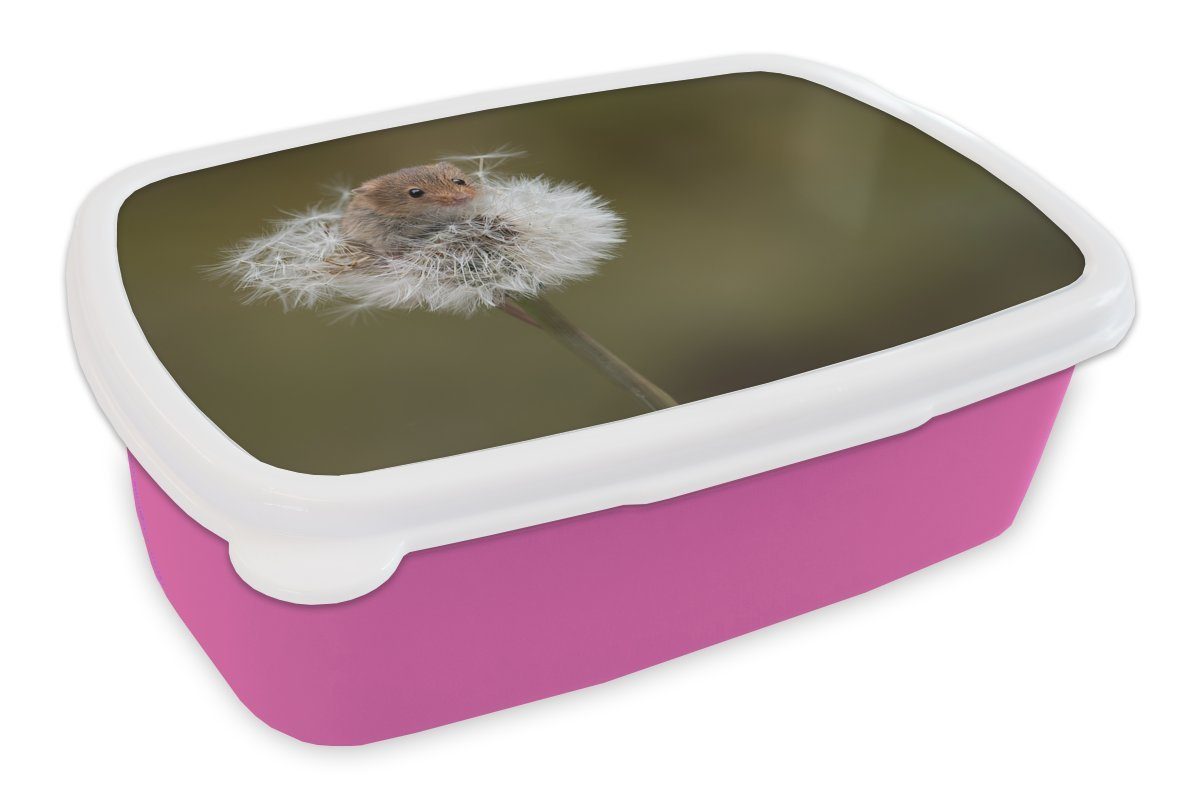 Snackbox, Brotbox - Maus Kunststoff, für Brotdose Kunststoff (2-tlg), Jung rosa Mädchen, - MuchoWow Lunchbox Blumen, Erwachsene, Kinder,