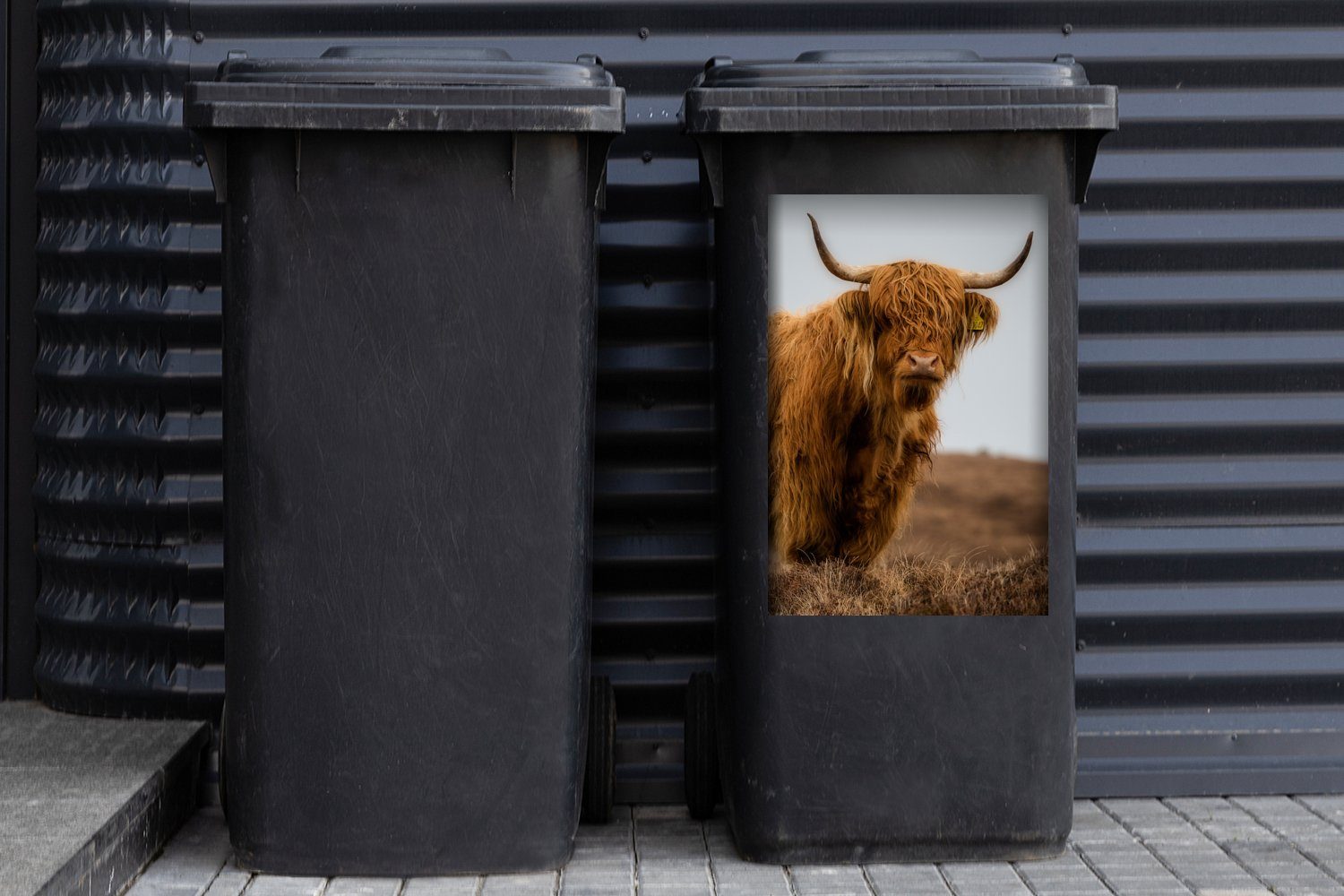 Mülltonne, St), Highlander Abfalbehälter - Wandsticker Schottischer Container, Düne MuchoWow Mülleimer-aufkleber, Sticker, - Gras (1