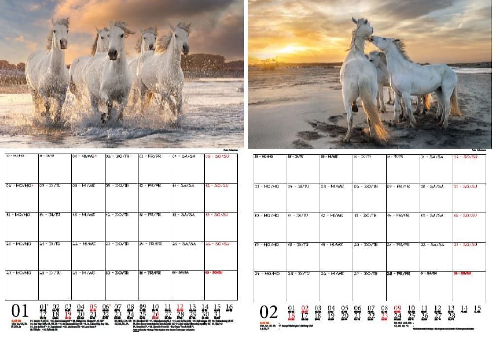 Thumbnail - Seelenzauber Wandkalender Pferdezauber Camargue Wand- Planer Kalender für 2025 DIN A4 Pferde