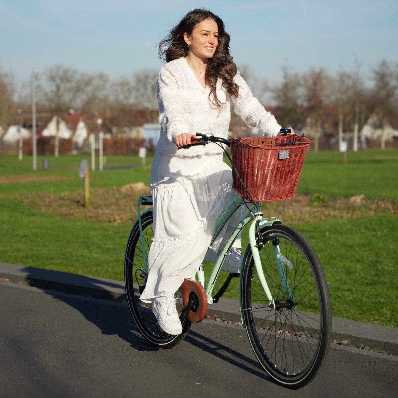 Bisan City Bike SERENITY 28-inch Designer Women's Bicycle, suitable for ages 12 and up, with click basket, 3-speed Shimano Nexus derailleur, internal hub gears, and removable handlebar basket