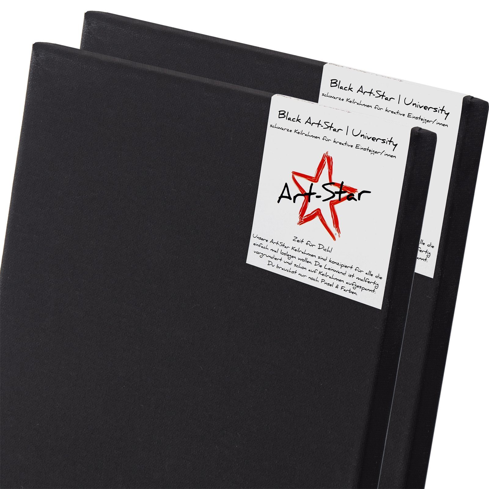 Art Star Носилка 2 ART-STAR UNIVERSITY BLACK LEINWÄNDE 80x100 cm, bespannte Носилка, Malfertig. Einfach auspacken und loslegen.