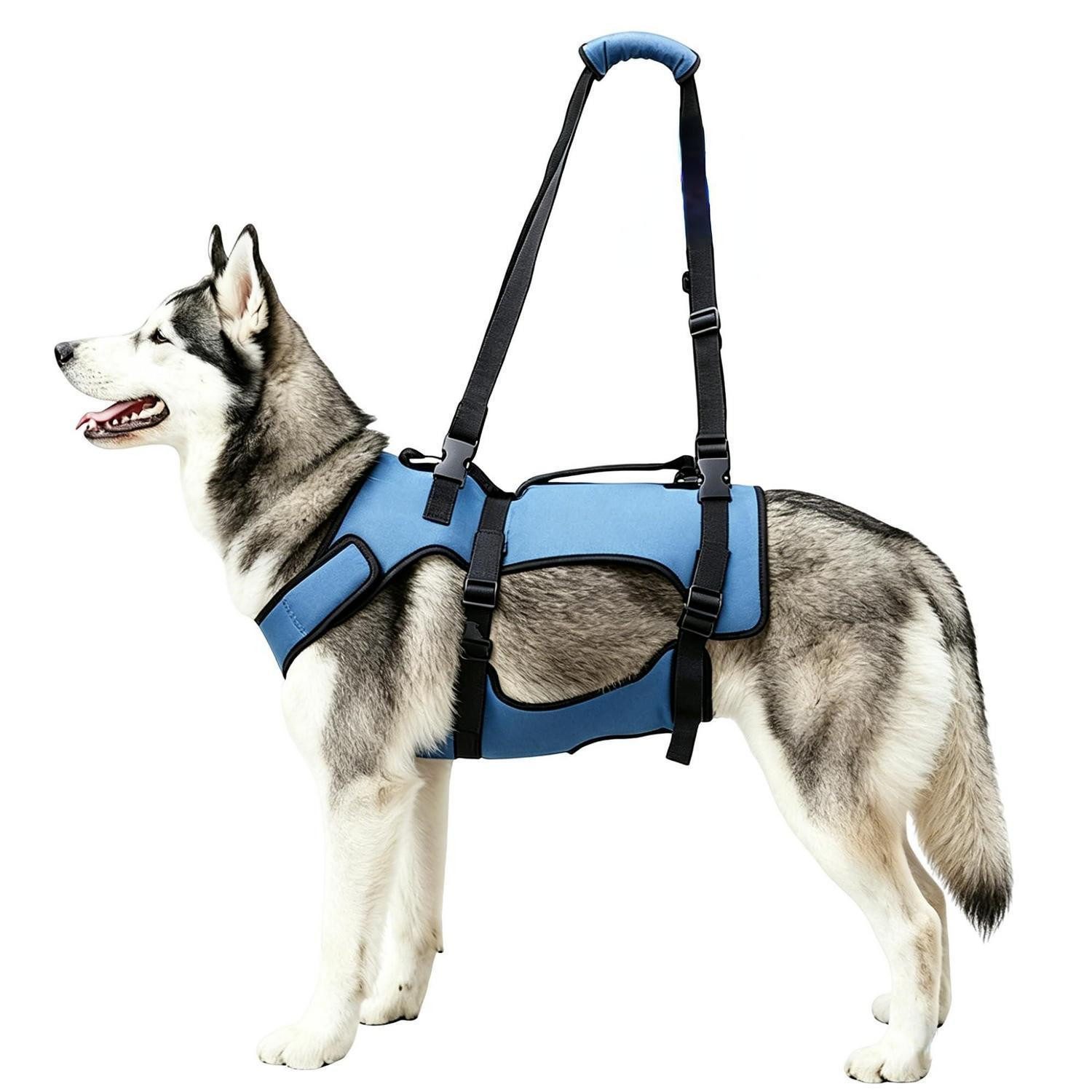 LuxusKollektion Hunde-Geschirr 2-in-1 Hundegeschirr Gehhilfe L, Textil