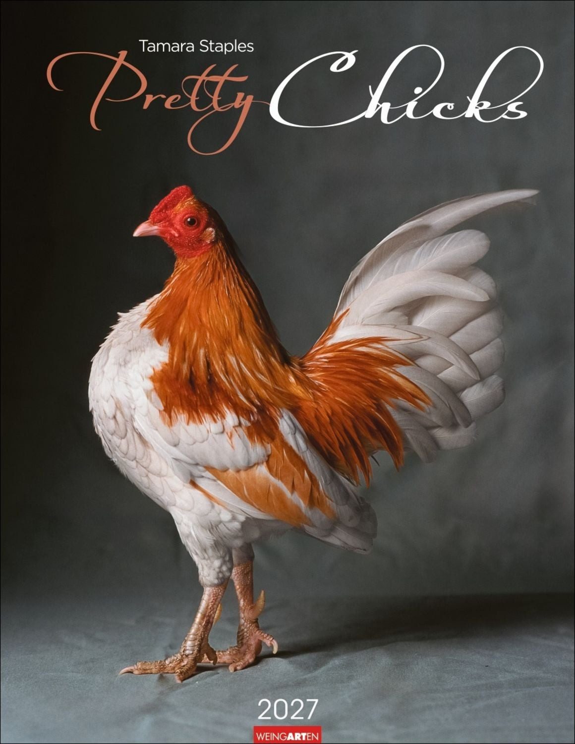 Wandkalender Pretty Chicks Kalender 2027