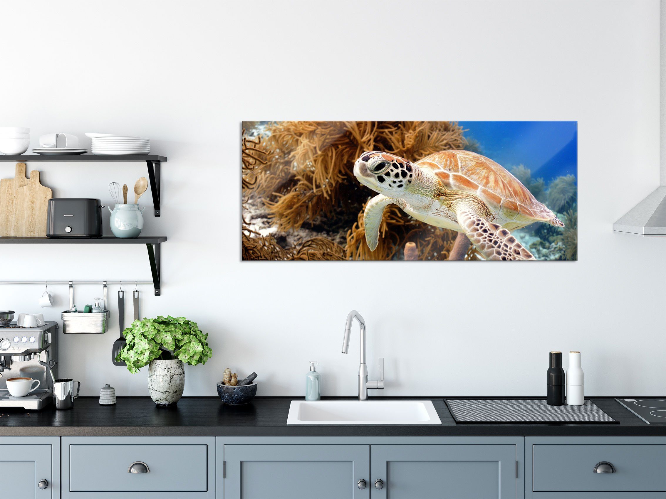 Aufhängungen inkl. (1 Echtglas, St), aus Meeresschildkröte, Glasbild Pixxprint und Abstandshalter Glasbild Meeresschildkröte
