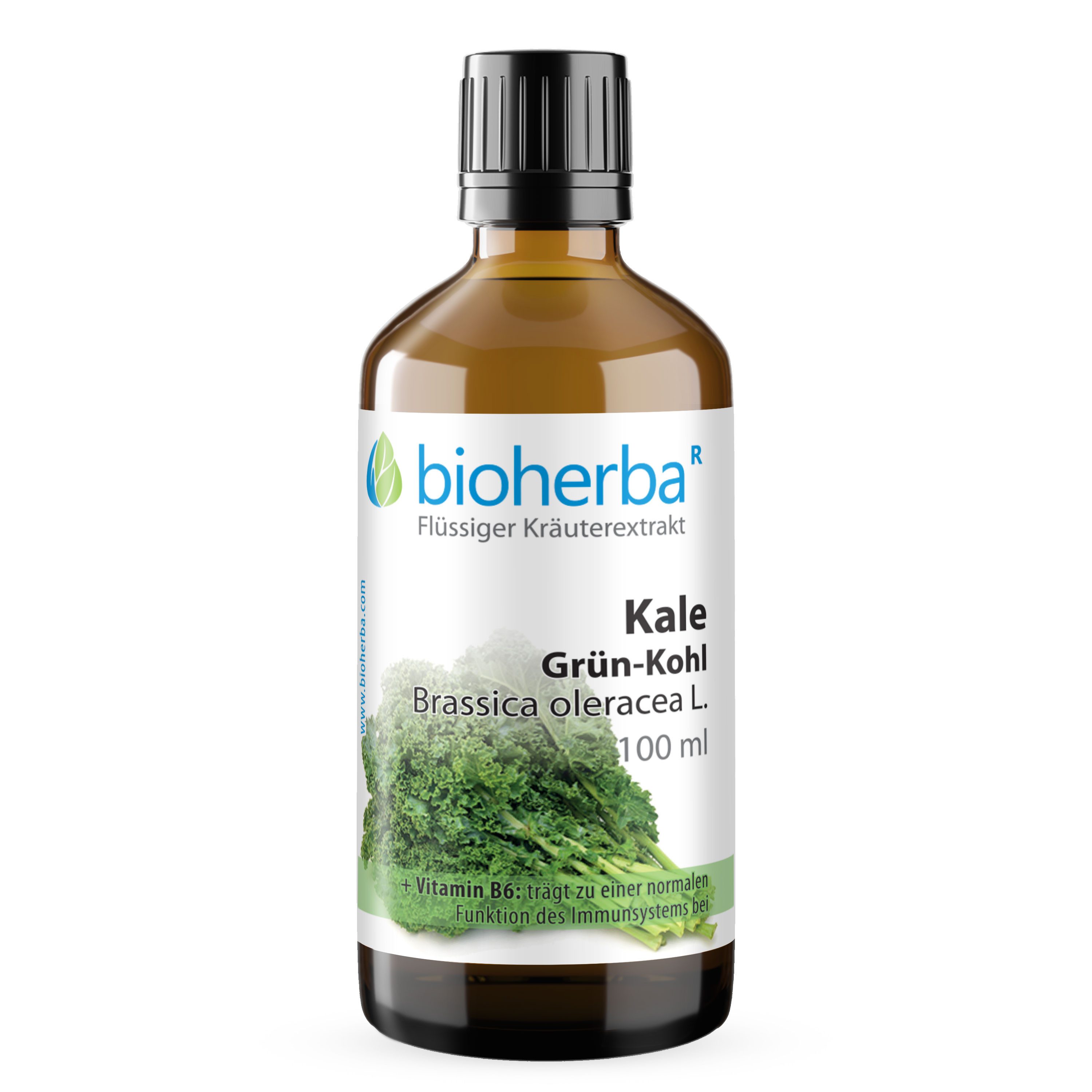 BIOHERBA R Bioherba Kale Grün-Kohl Brassica oleracea L. Tropfen Tinktur 100 ml Tropfen, 1 er