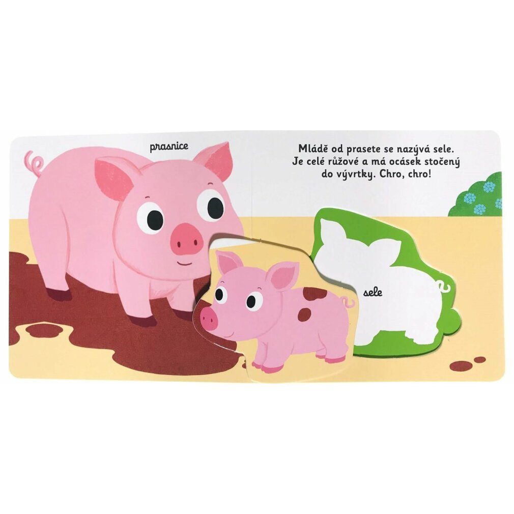 Svojtka & Co. Spiel MiniPEDIE Entdecke die Welt! Junge Leute vom Bauernhof