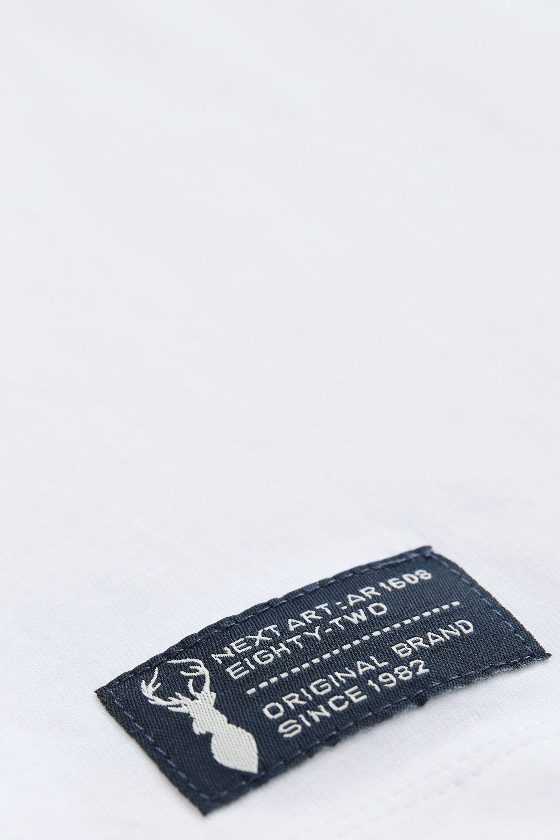 Next T-Shirt T-Shirt in Blockfarben (1-tlg)
