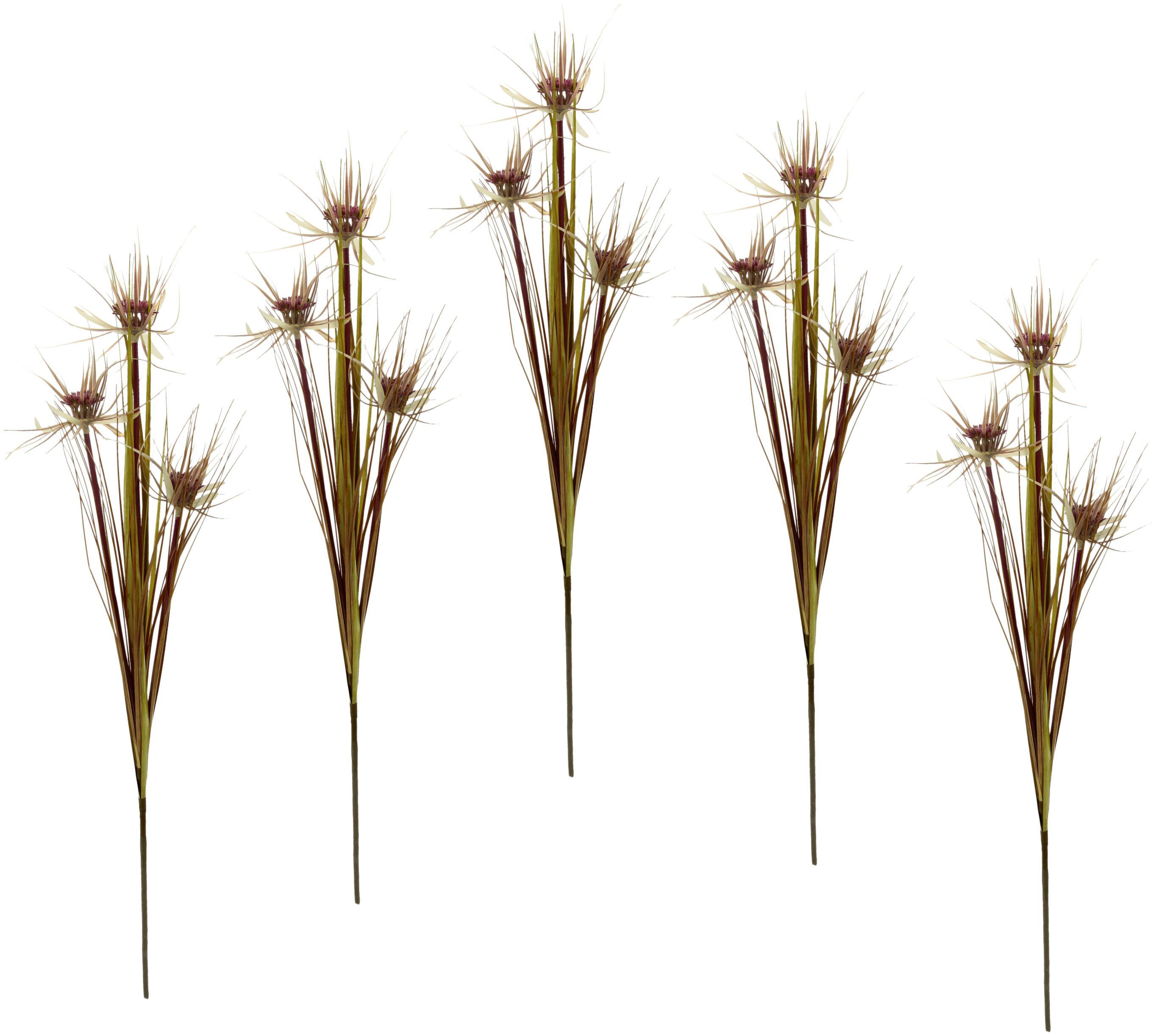 Kunstblume Papyruszweig, I.GE.A., Höhe 87 cm, 5er Set