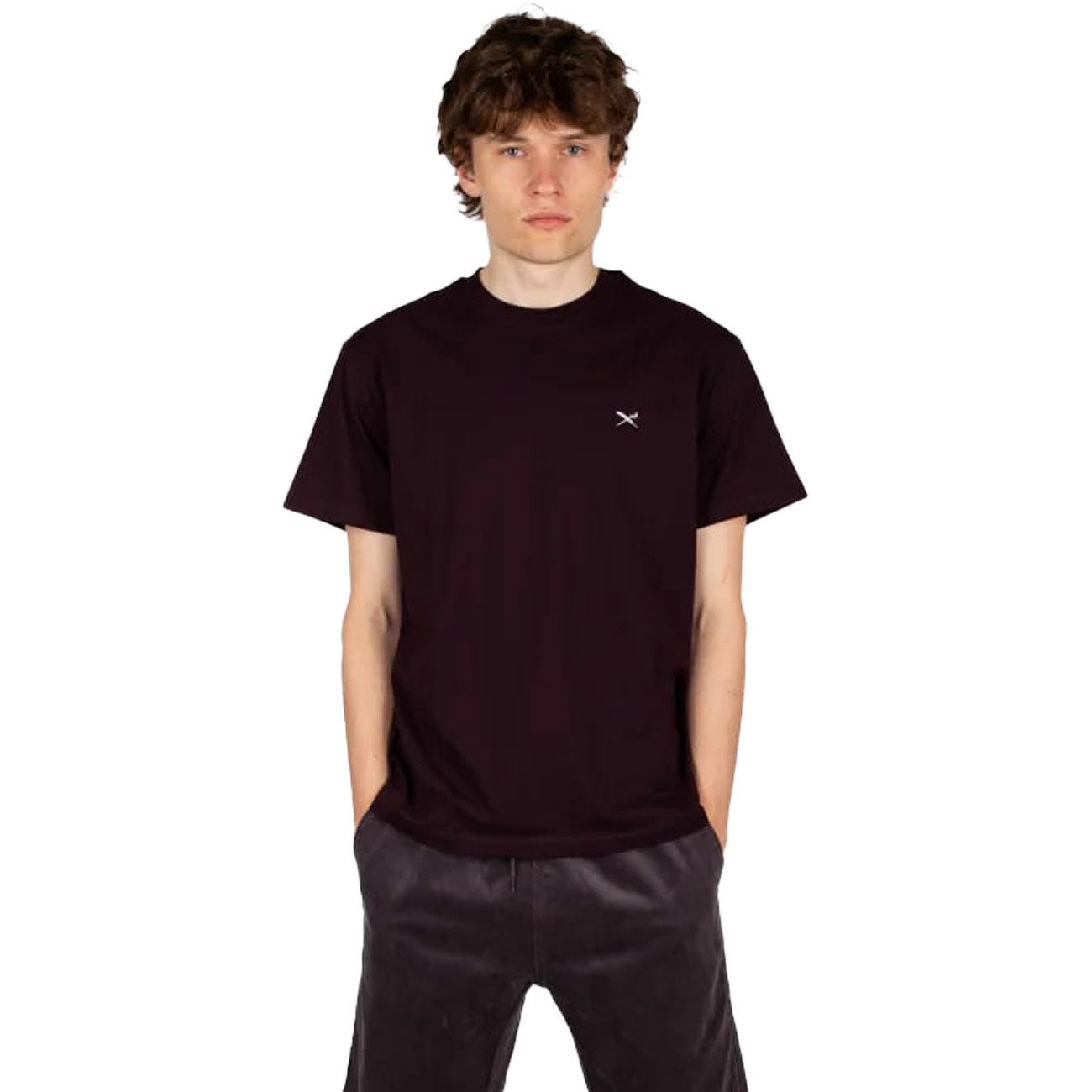 iriedaily T-Shirt Mini Flag Relaxed Tee günstig online kaufen