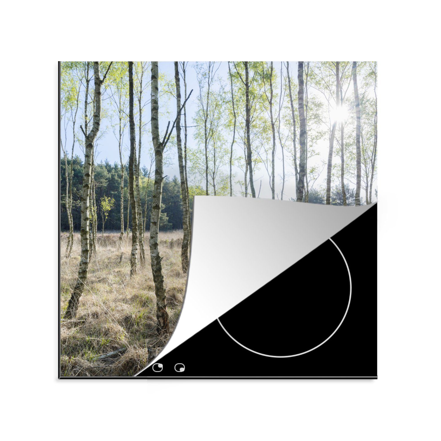 MuchoWow Herdblende-/Abdeckplatte Europa cm, Wald, Arbeitsplatte 78x78 tlg), für - küche - (1 Vinyl, Bäume Ceranfeldabdeckung