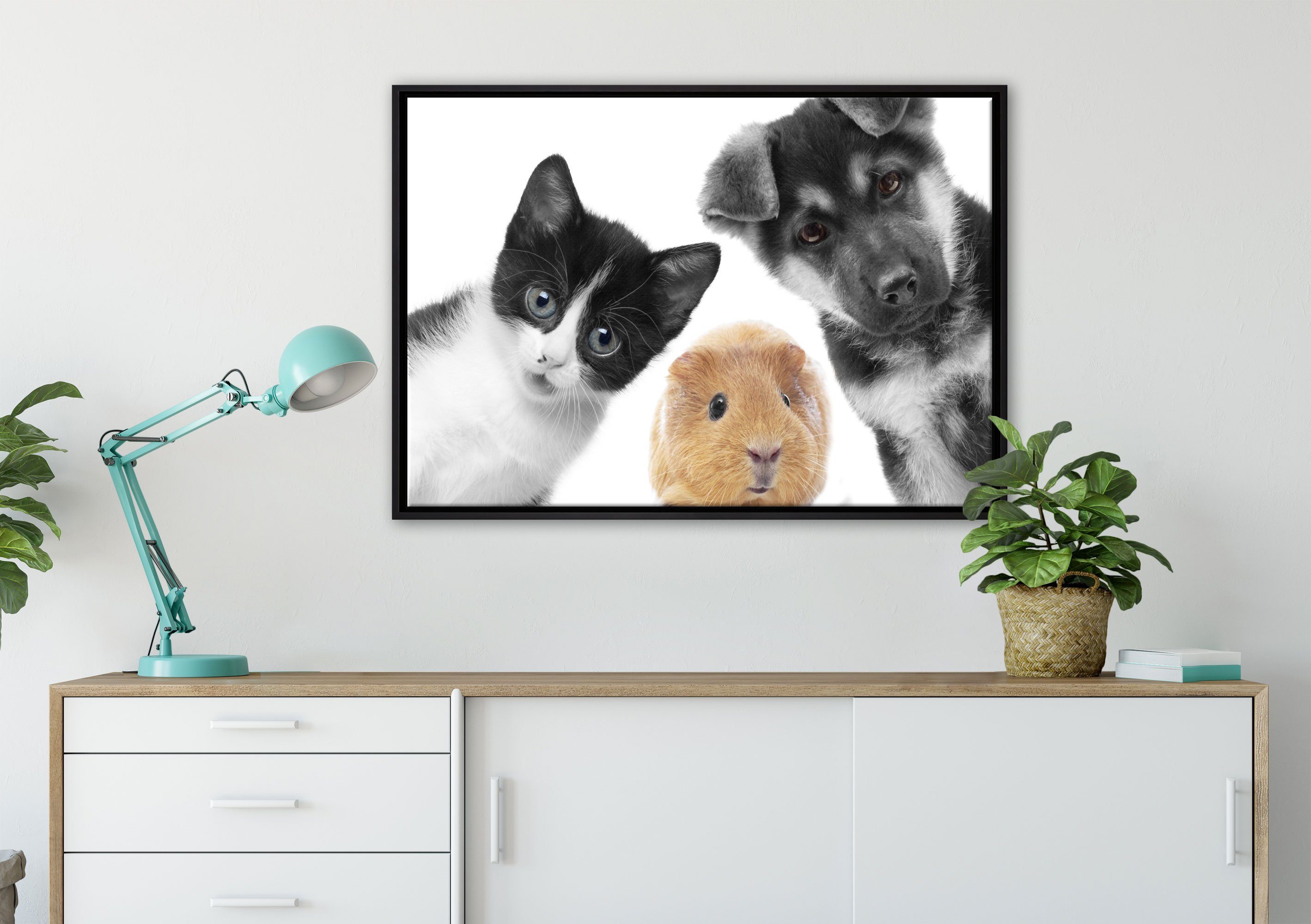 Pixxprint Leinwandbild Trio Hund Wanddekoration Leinwandbild Katze fertig einem Schattenfugen-Bilderrahmen Meerschweinchen, in inkl. Zackenaufhänger (1 bespannt, St), gefasst