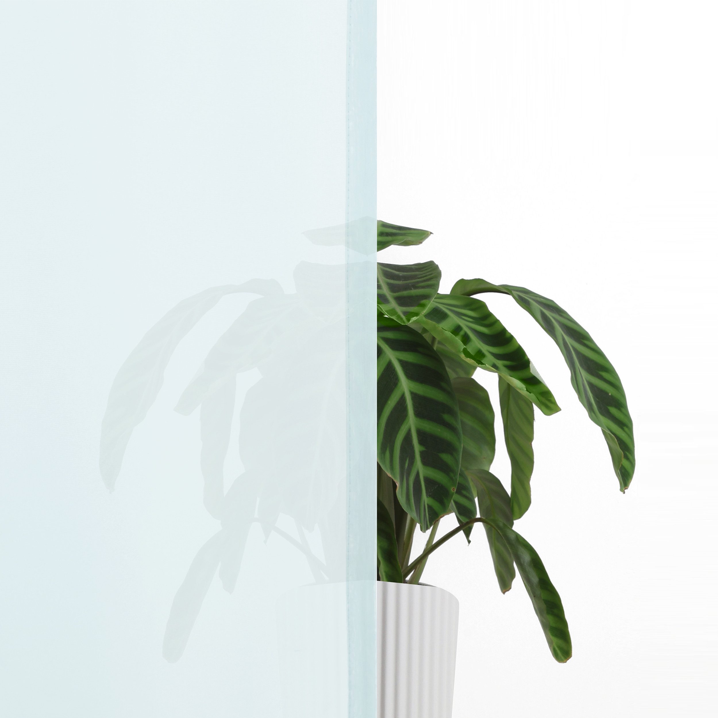 OTTO home Gardine XANA mit Schlaufen, Topseller! (1 St), Schlaufen, transparent, Voile, Bestseller, einfarbig, 1 Schal, pflegeleicht, preiswert! – Bild 5 von 5