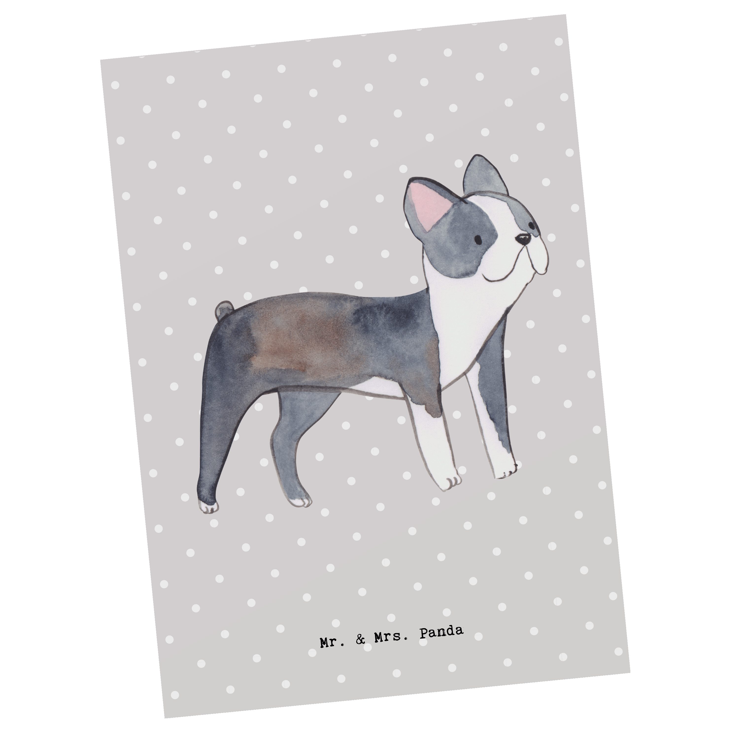 Mr. & Mrs. Panda Postkarte Boston Terrier Lebensretter - Grau Pastell - Geschenk, Karte, Grußkar