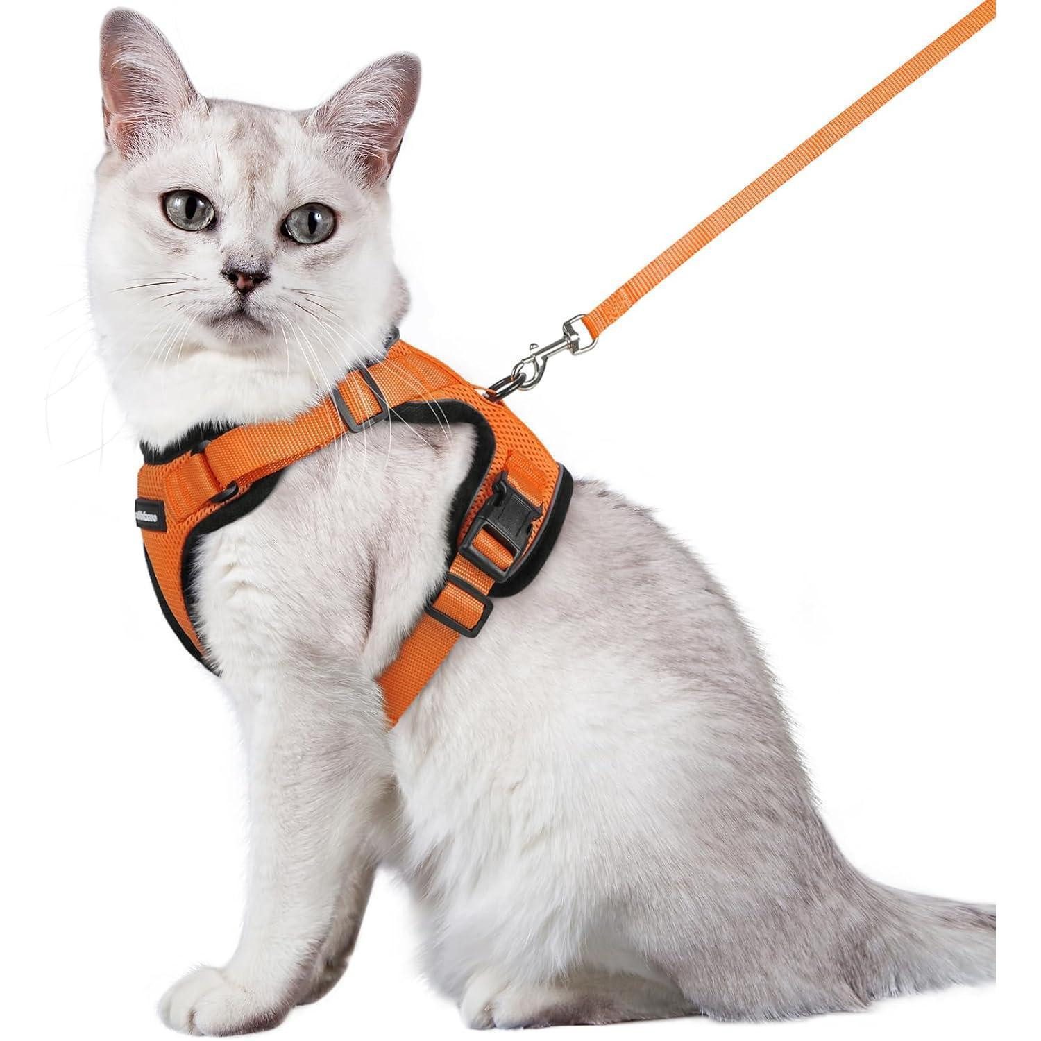 LuxusKollektion Katzen-Geschirr Katzengeschirr Brustgeschirr ausbruchsicher M 1er Pack Orange