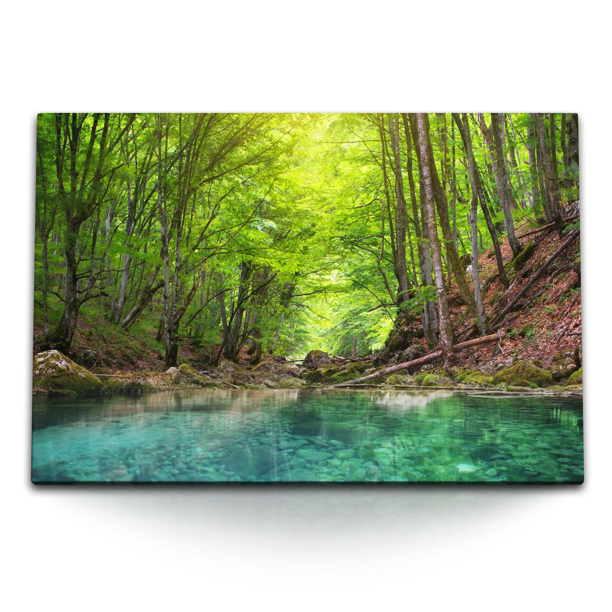 Leinwandbild 120x80cm Wandbild auf Leinwand Natur Wald Bach Fluss Wasser Grün