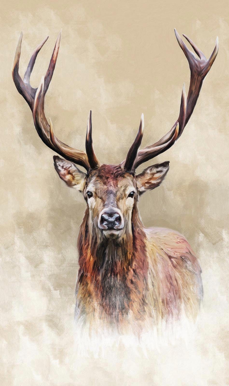 Reinders! Wandbild Hirsch günstig online kaufen