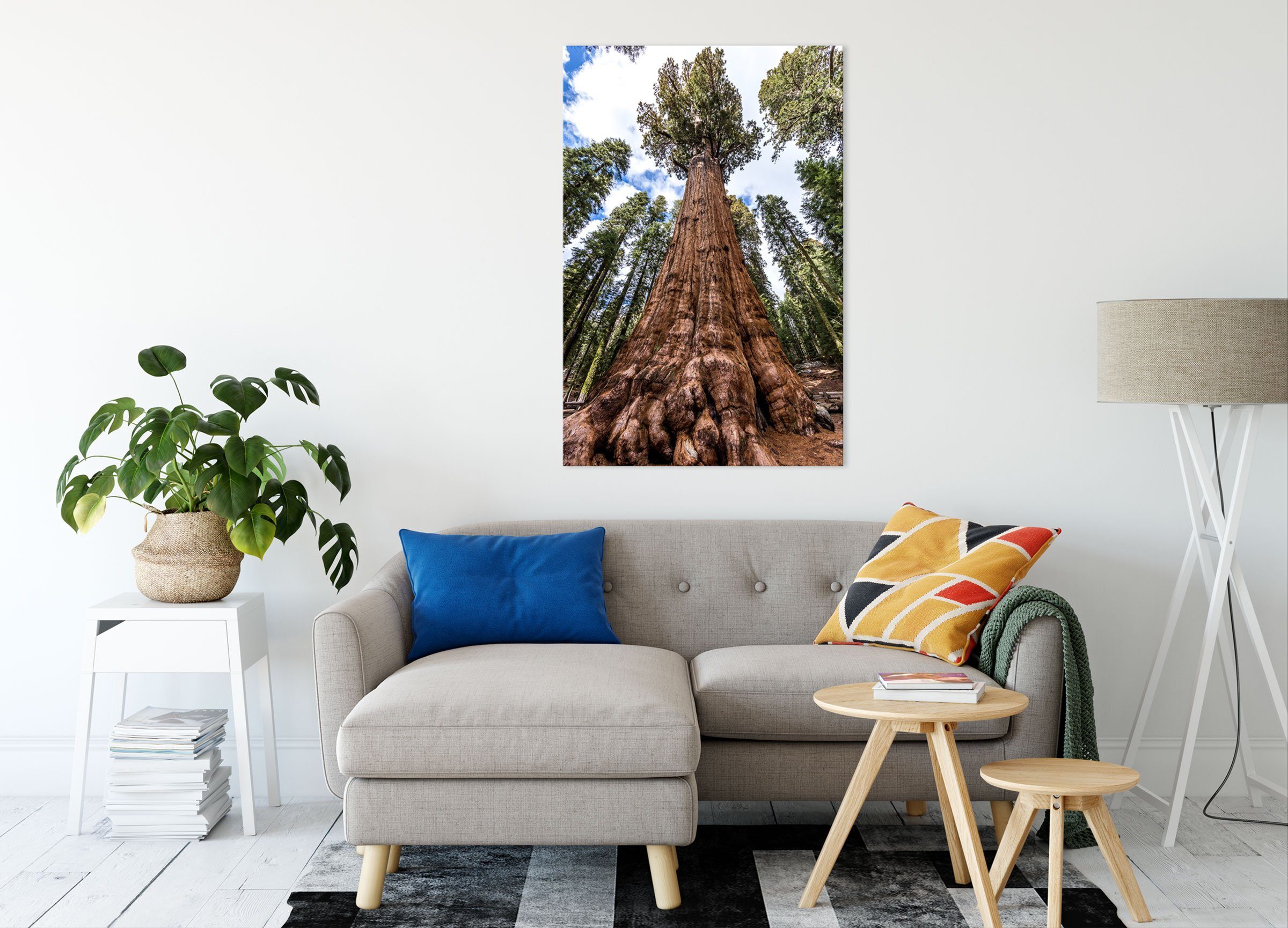 Pixxprint Leinwandbild inkl. St), bespannt, Baum Zackenaufhänger Leinwandbild Regenwald (1 im im Baum fertig Regenwald,