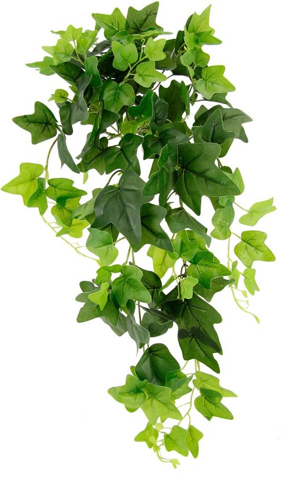 Kunstpflanze Efeu, I.GE.A., Höhe 80 cm, Hängende Kunstpflanze