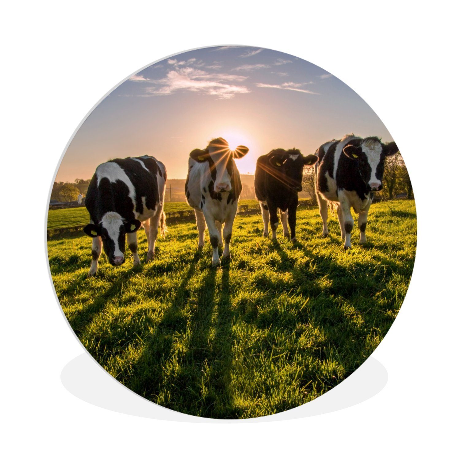 Gemälde Kuh - Sonne - Gras