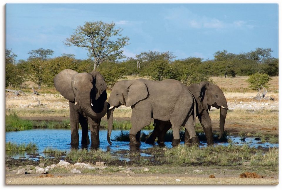 Artland Wandbild Afrikanischer Elefant EtoshaNationalpark, Elefanten Bilder  (1 St), als Leinwandbild, Wandaufkleber in verschied. Größen