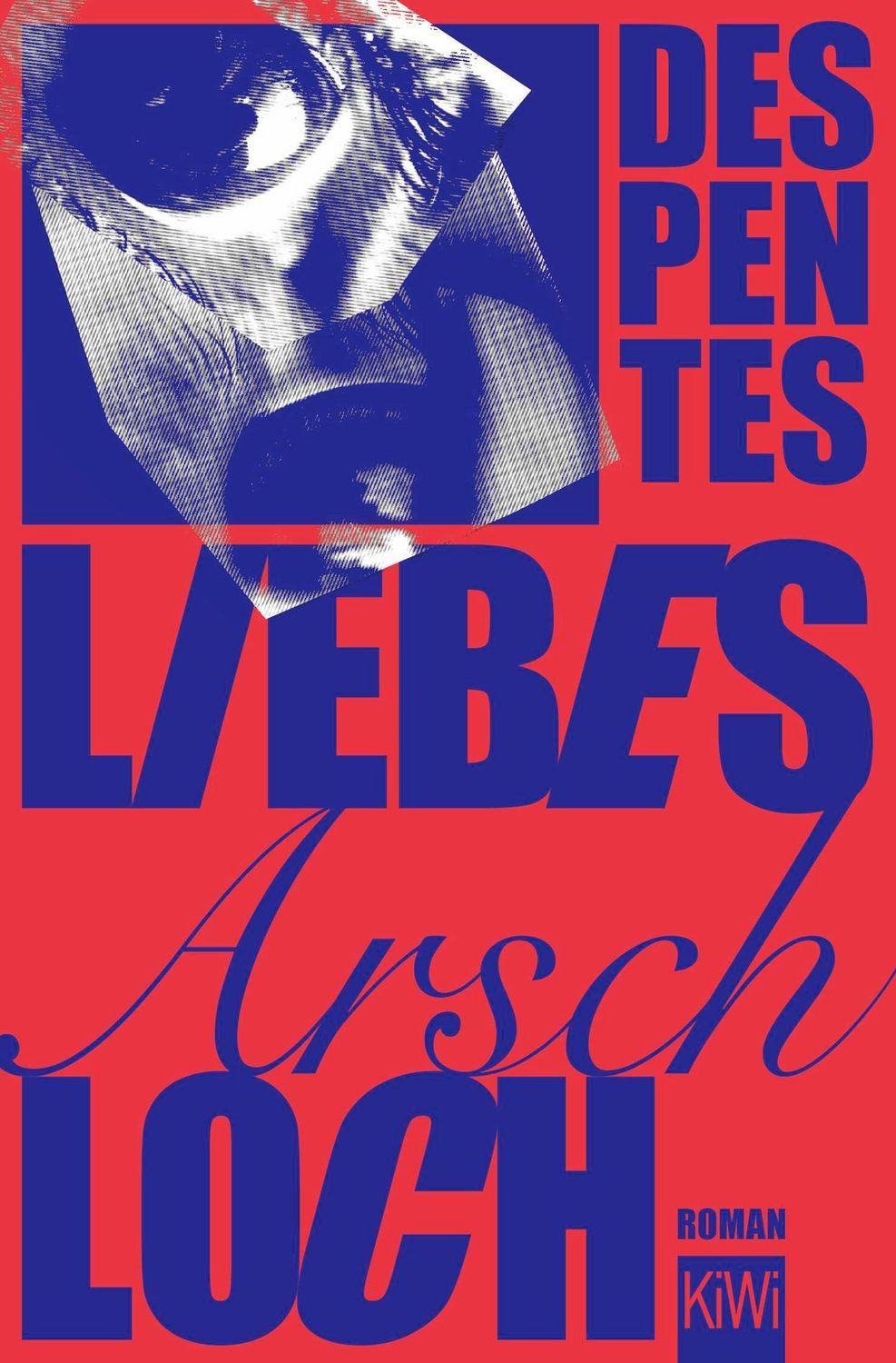 Liebes Arschloch / Virginie Despentes