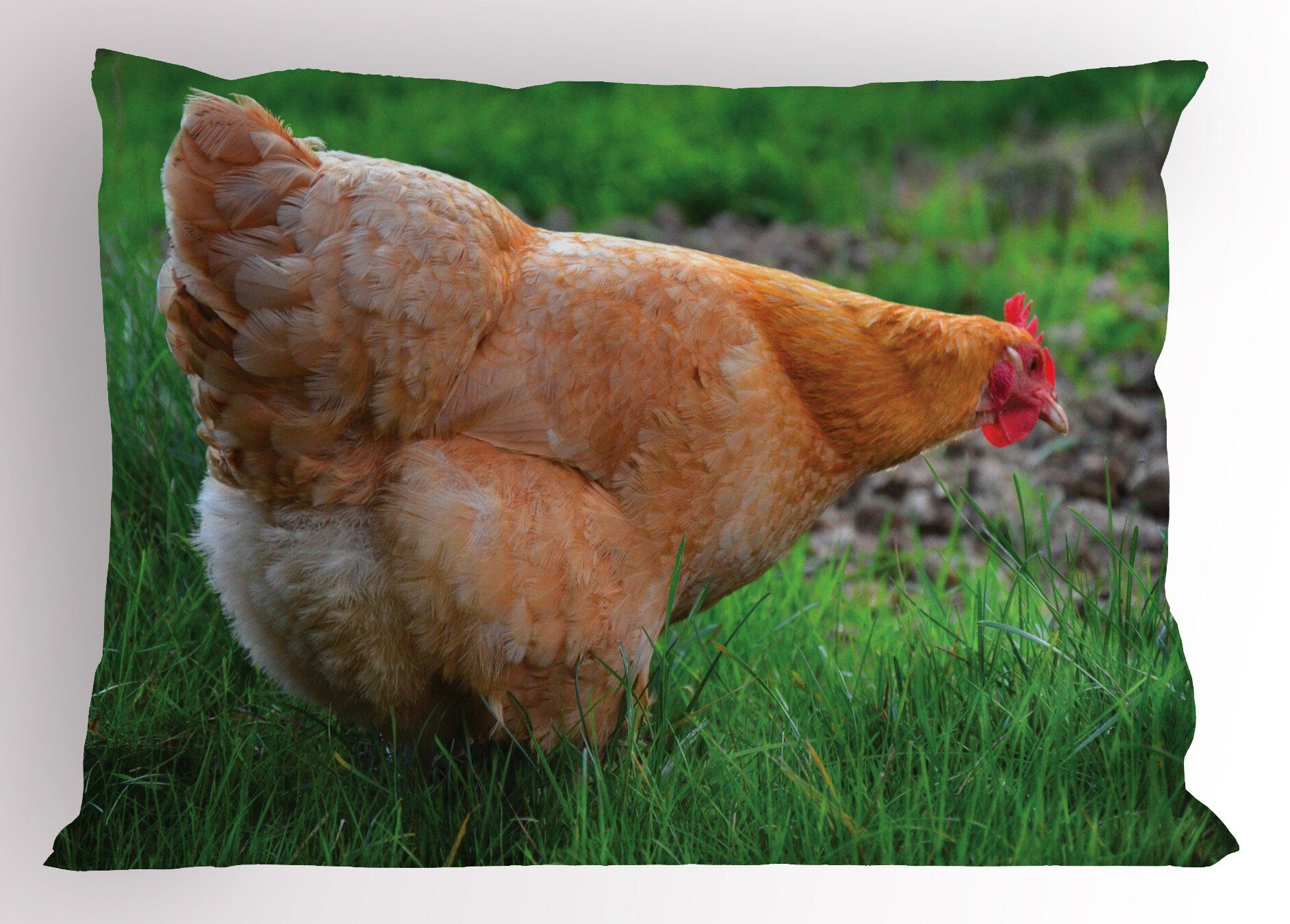 Kissenbezüge Dekorativer Standard Foto Kissenbezug, auf Size Abakuhaus Gedruckter Stück), Henne Gras King (1 Farm Huhn