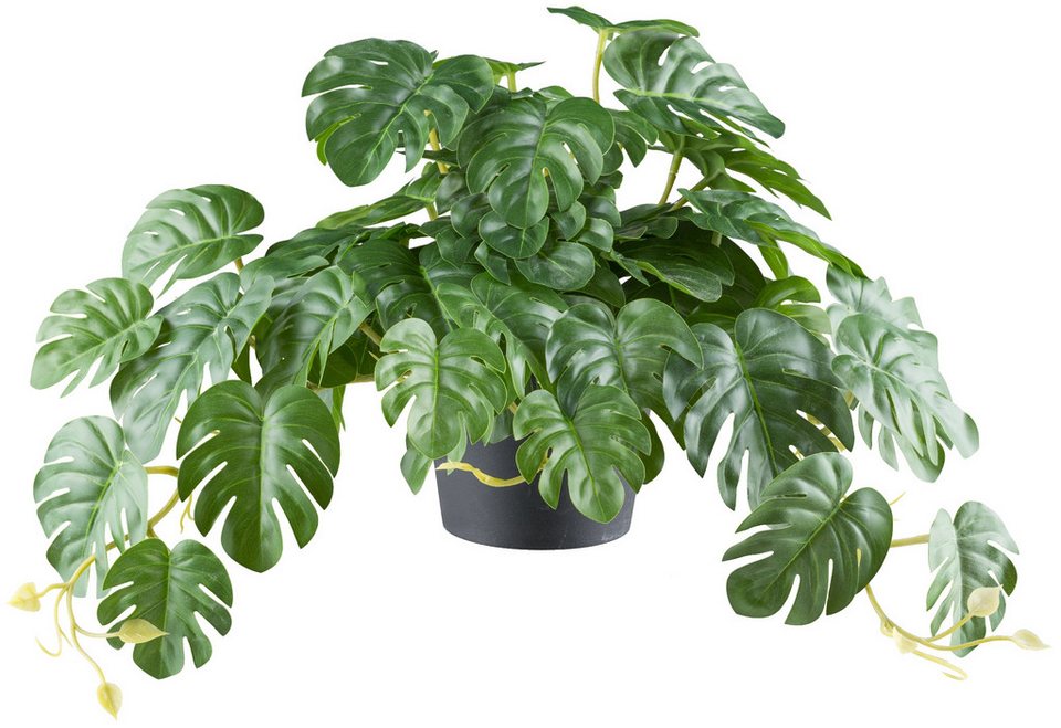 Kunstranke Splitphilodendron Hänger 46 Bl., 24x40cm grün Kunstpflanze ...