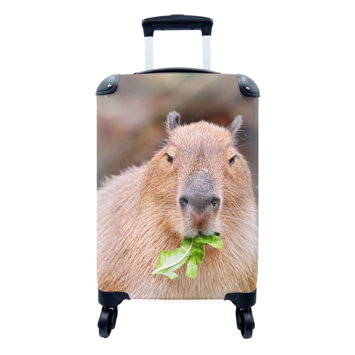 MuchoWow Handgepäckkoffer Ein Wasserschwein isst grünen Salat, 4 Rollen, Reisetasche mit rollen, Handgepäck für Ferien, Trolley, Reisekoffer