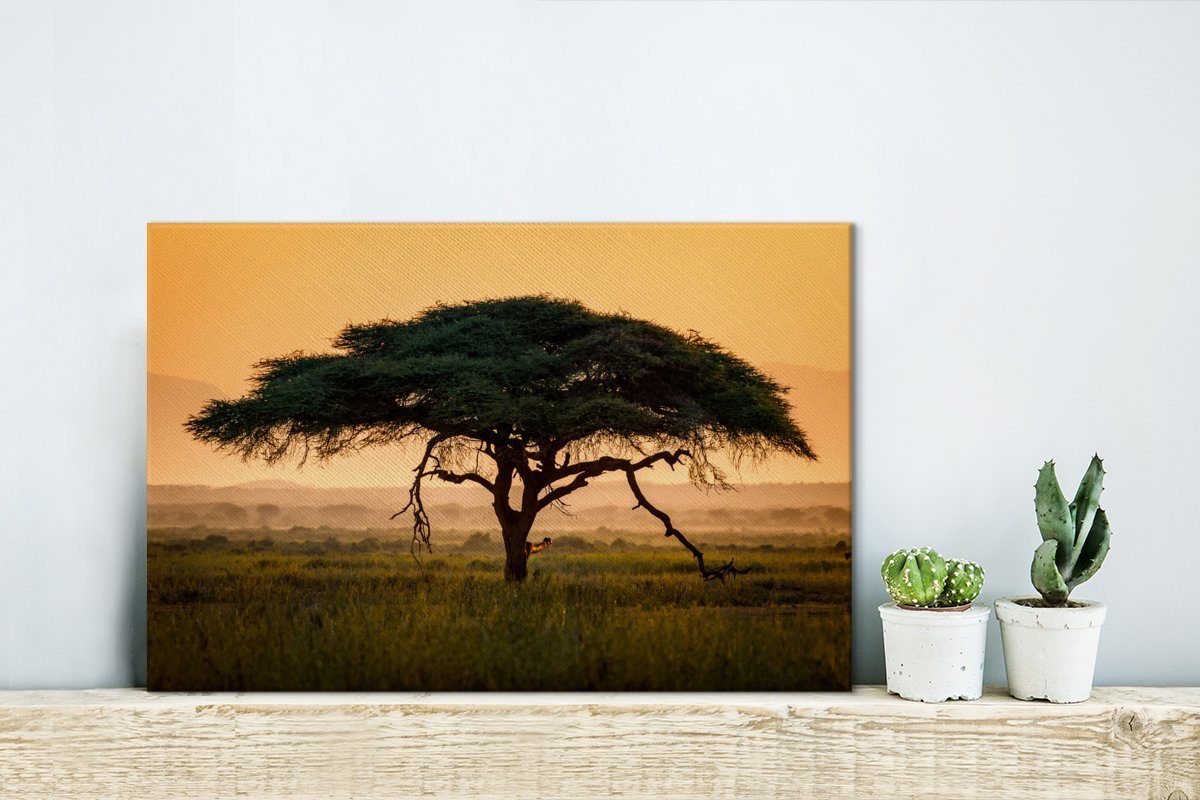 vor 30x20 Himmel, OneMillionCanvasses® Tropischer Leinwandbild Aufhängefertig, Akazienbaum Leinwandbilder, St), orangefarbenem cm (1 Wanddeko, Wandbild
