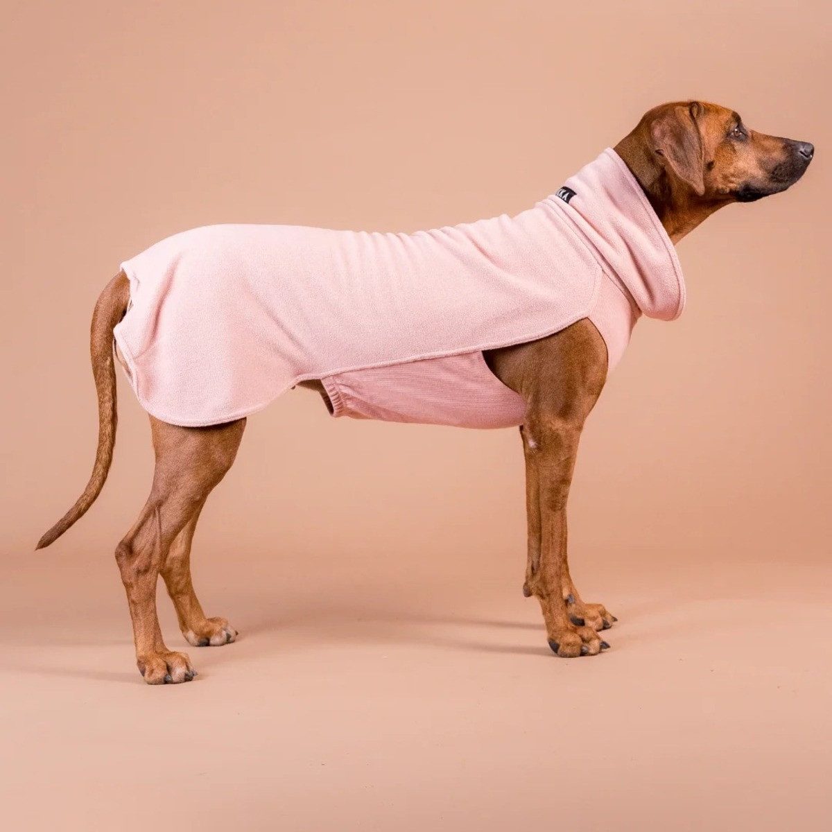 PAIKKA Hundepullover Hundepullover Seawool Hundeshirt rosa