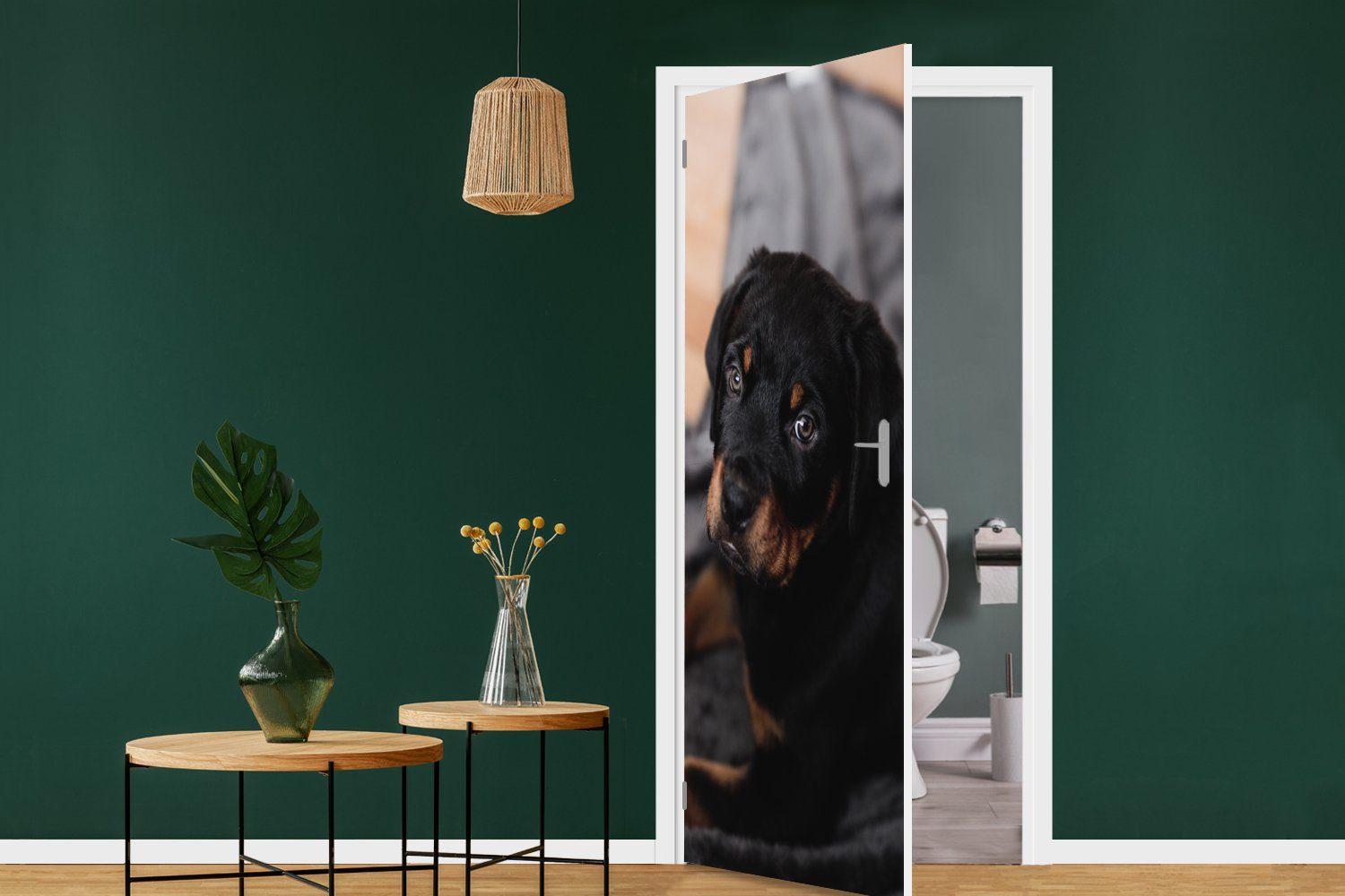 Tür, auf Ein Rottweiler-Welpe (1 Teppich, einem Matt, 75x205 St), cm MuchoWow Türtapete bedruckt, Türaufkleber, schwarzen Fototapete für