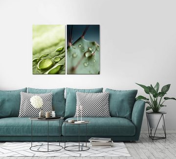 Sinus Art Leinwandbild 2 Bilder je 60x90cm Regentropfen grünes Blatt Kaktus Frisch Fotokunst Makrofotografie Harmonisch