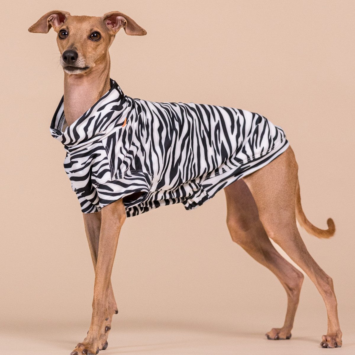 PAIKKA Hundeshirt Hundeshirt Sonnenschutz/Antiparasit "UV & Bug Shirt"