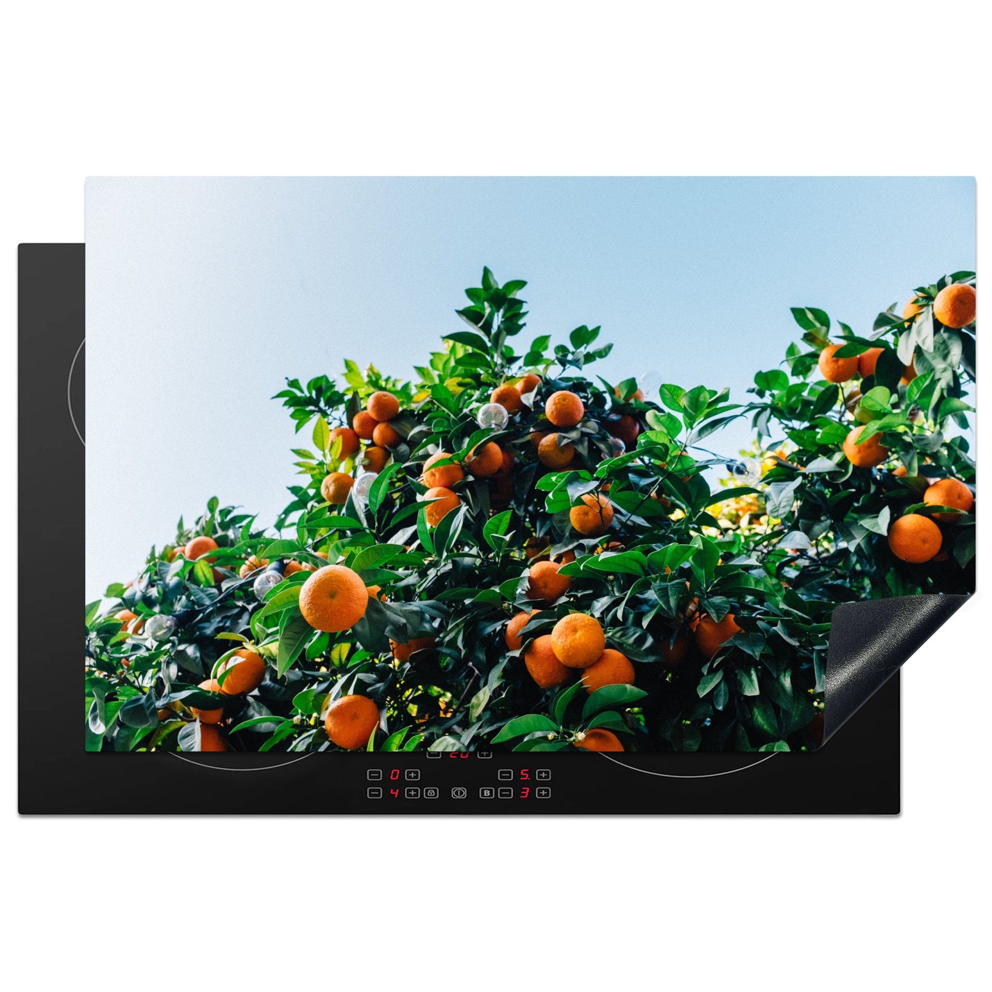 - Schutz tlg), cm, Herdblende-/Abdeckplatte Ceranfeldabdeckung Orange Obst (1 Vinyl, Baum, für 81x52 die - Induktionskochfeld küche, MuchoWow